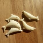 dauphins os de baleine