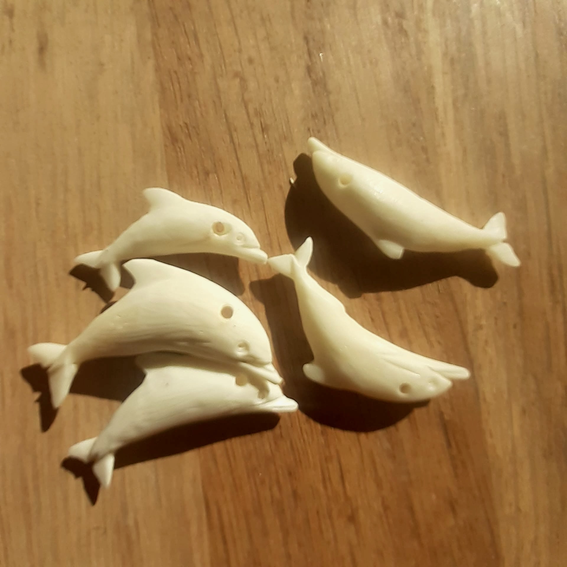 dauphin-os-baleine dauphins os de baleine